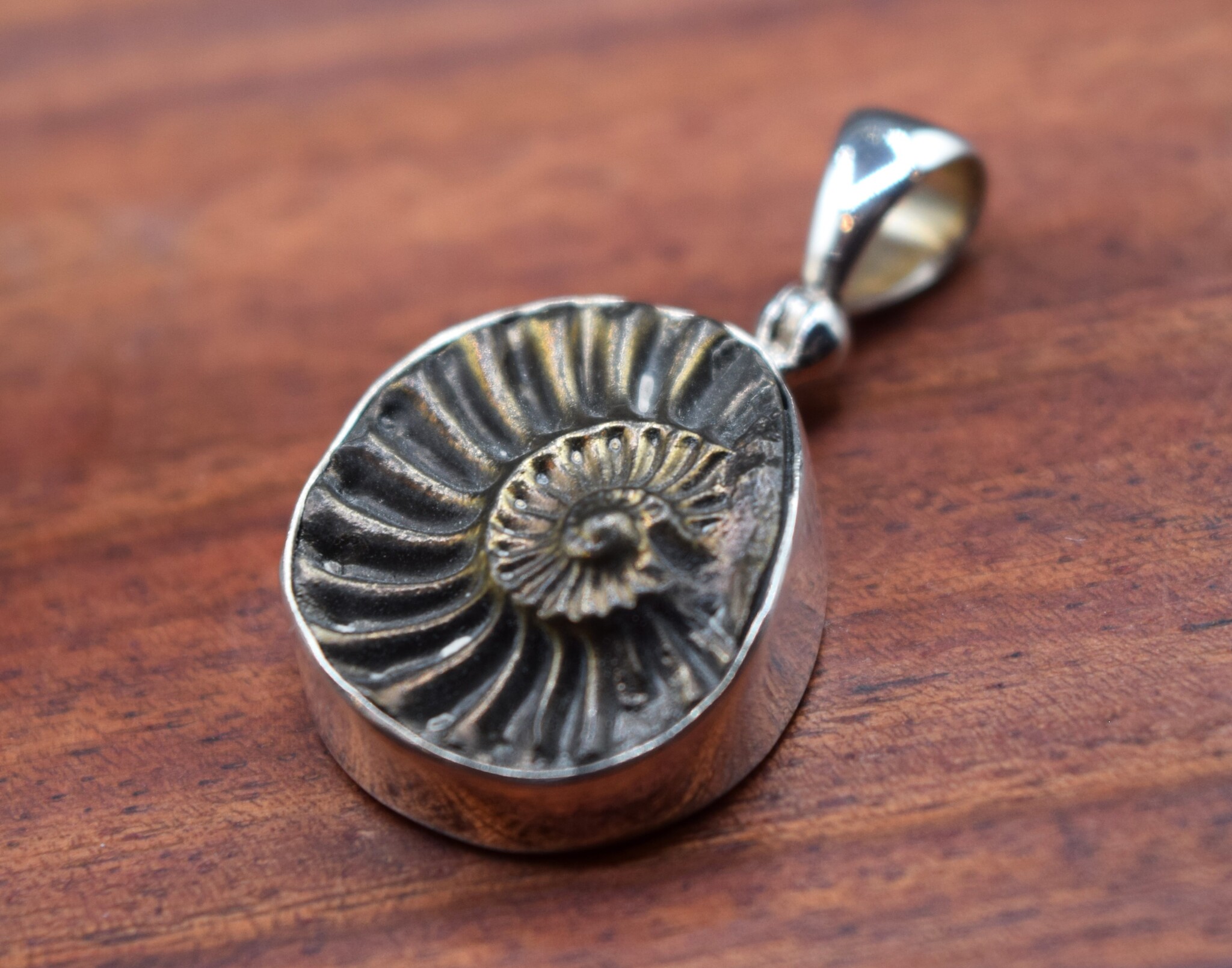 SS Ammonite Print Brushed with Gold 20mm Bezel-Set Pendant