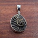 SS Ammonite Print Brushed with Gold 20mm Bezel-Set Pendant