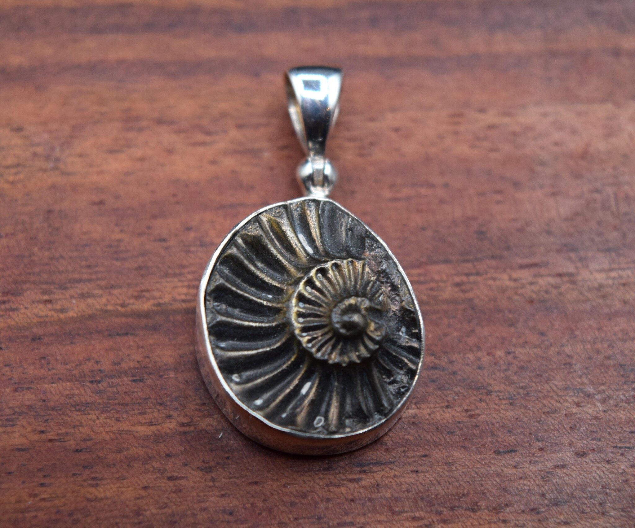 SS Ammonite Print Brushed with Gold 20mm Bezel-Set Pendant