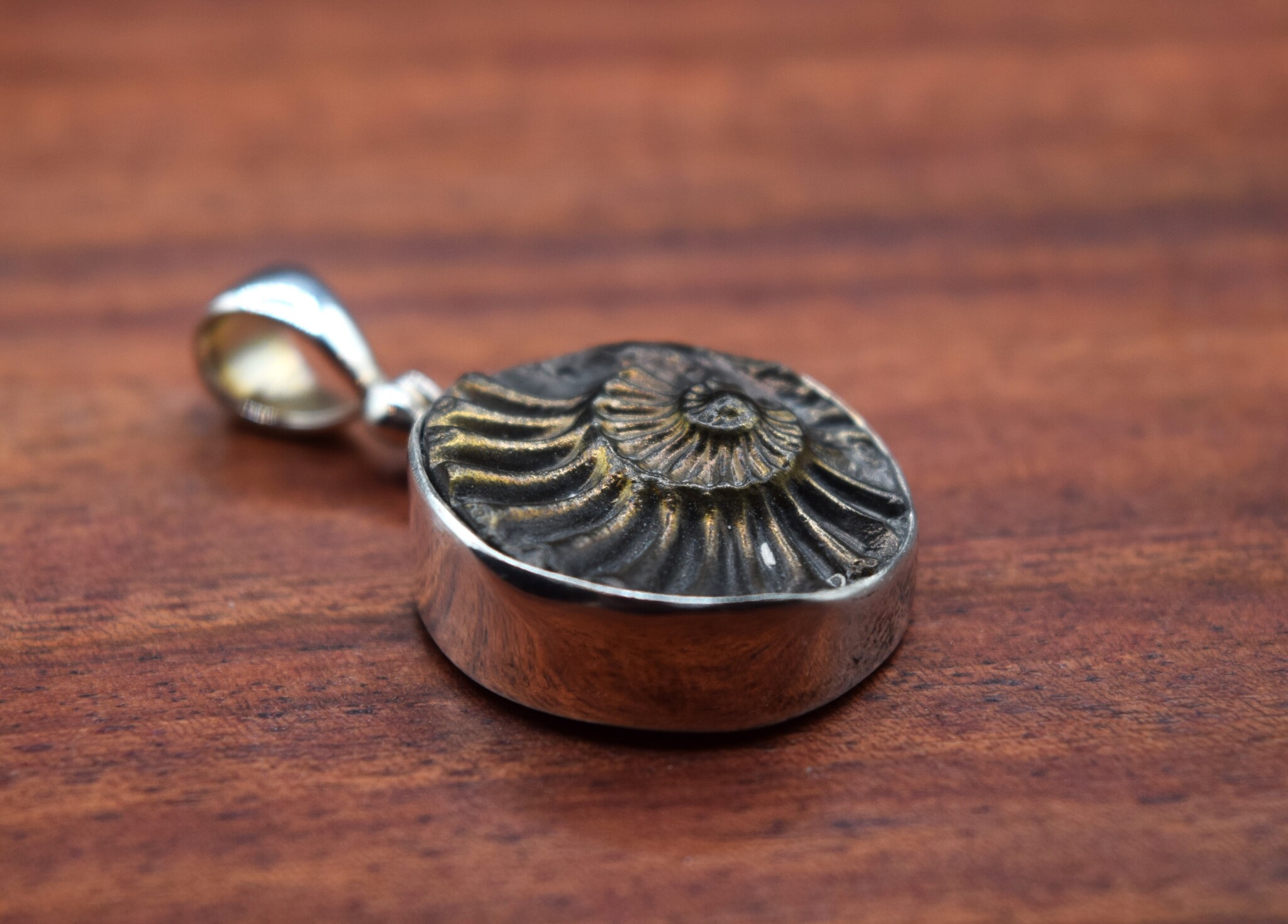 SS Ammonite Print Brushed with Gold 20mm Bezel-Set Pendant