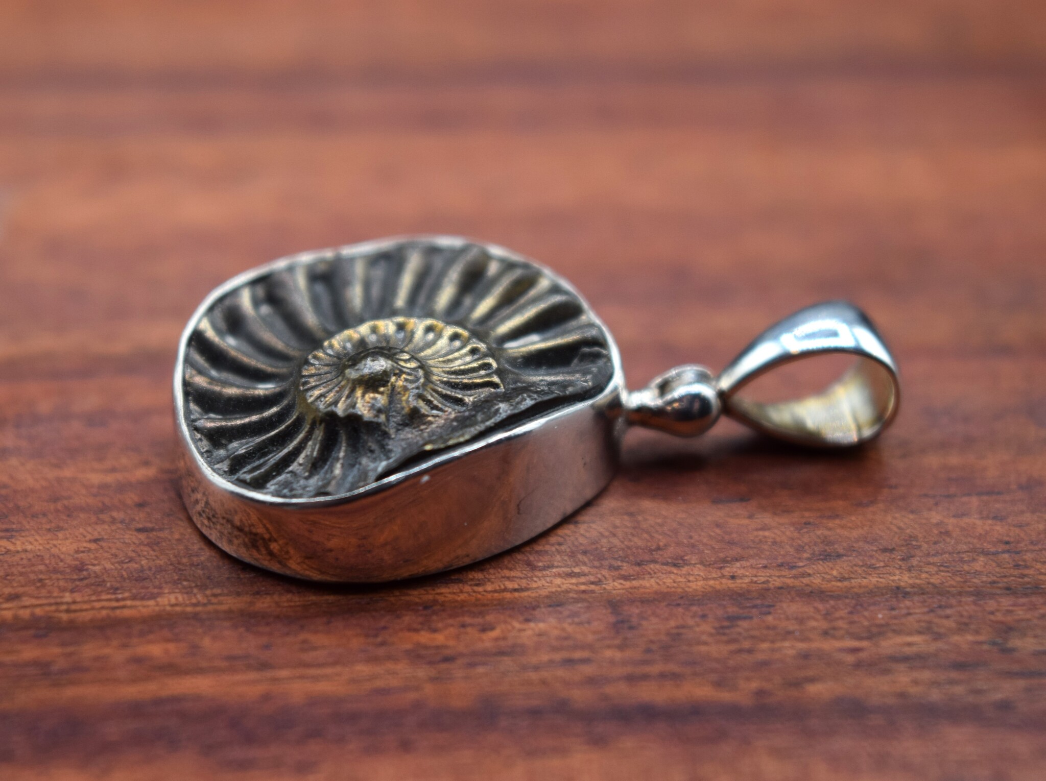 SS Ammonite Print Brushed with Gold 20mm Bezel-Set Pendant