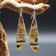 SS Montana Agate Triangular 40x12mm Cab Edge-Set Bezel Dangle Earrings