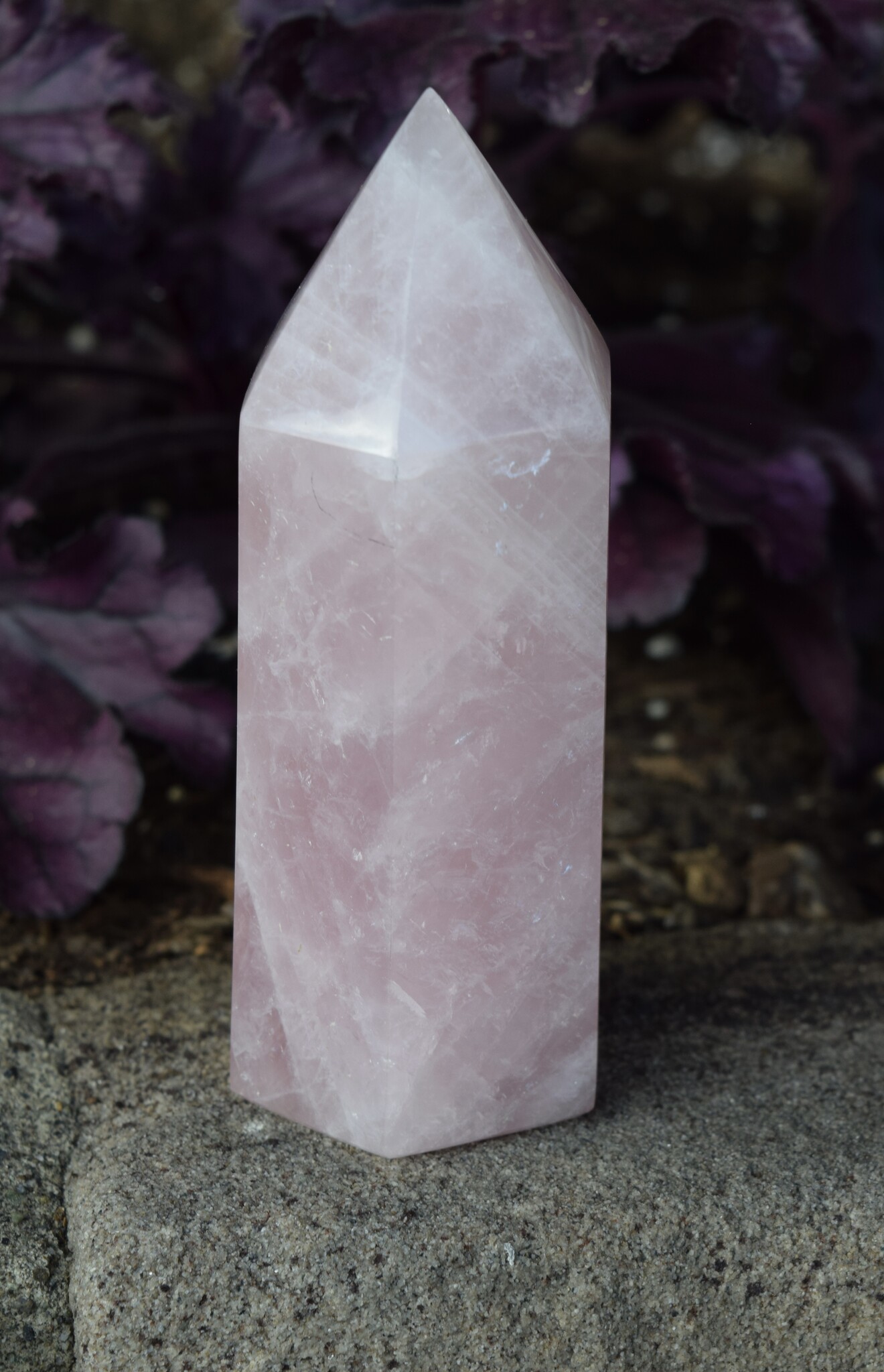 Rose Quartz 490g Polished Point
