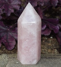 Rose Quartz 490g Polished Point