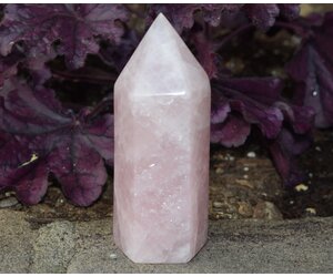 Rose Quartz 490g Polished Point - ᴛʜᴇ ᴡɪsʜɪɴɢ sᴛᴏɴᴇ