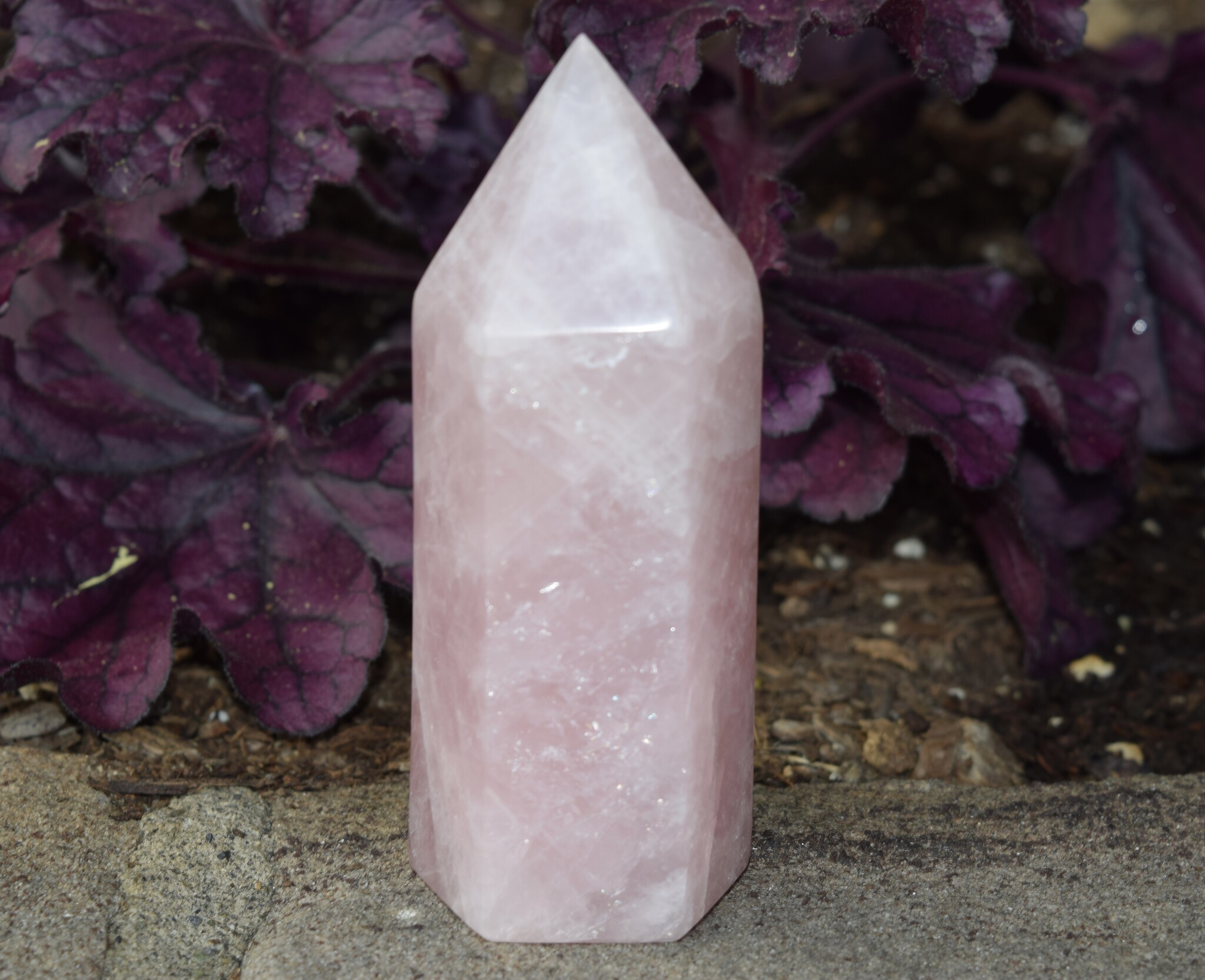 Rose Quartz 490g Polished Point