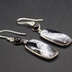 SS Dendritic Agate Rectangular 11x23mm Cabochon Bezel Set Dangle Earrings With 5mm Round Black  Onyx Accent