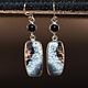 SS Dendritic Agate Rectangular 11x23mm Cabochon Bezel Set Dangle Earrings With 5mm Round Black  Onyx Accent