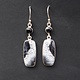 SS Dendritic Agate Rectangular 11x23mm Cabochon Bezel Set Dangle Earrings With 5mm Round Black  Onyx Accent