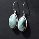 BLB 066 SS Hemimorphite 22mm Oval Bezel Set Dangle Earrings