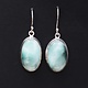 BLB 066 SS Hemimorphite 22mm Oval Bezel Set Dangle Earrings