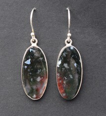 Moss Agate 27mm Oval Dangle Earrings