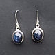 GXF SS Enhanced Blue Star Sapphire 10mm Round Dangle Earrings