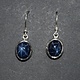 GXF SS Enhanced Blue Star Sapphire 10mm Round Dangle Earrings