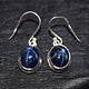 GXF SS Enhanced Blue Star Sapphire 10mm Round Dangle Earrings