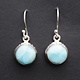 BLB 066 SS Larimar 10mm Round Dangle Earrings