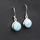 BLB 066 SS Larimar 10mm Round Dangle Earrings