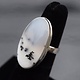 SS Dendritic Agate 27mm Oval Bezel Set Ring Size 5