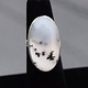 SS Dendritic Agate 27mm Oval Bezel Set Ring Size 5