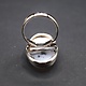 SS Dendritic Agate 27mm Oval Bezel Set Ring Size 5