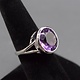 SAF 006 SS Amethyst 15mm Round Bezel Set Ring Size 7