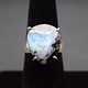 VIT 005 SS Rainbow Moonstone 16mm Freeform 4-Prong Set Ring Size 7.5