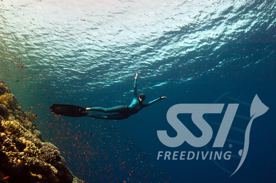 SSI Freediving Level 1 & 2 Course Combo