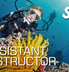 SSI Assistant Instructor Course 2021 (Academics, Pool, Materials)