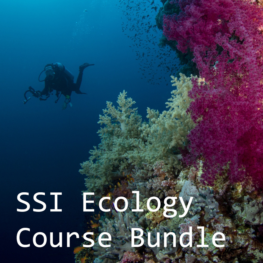 SSI Ecology Course Bundle 72 Aquatics SSI Ecology Course Bundle 72 Aquatics