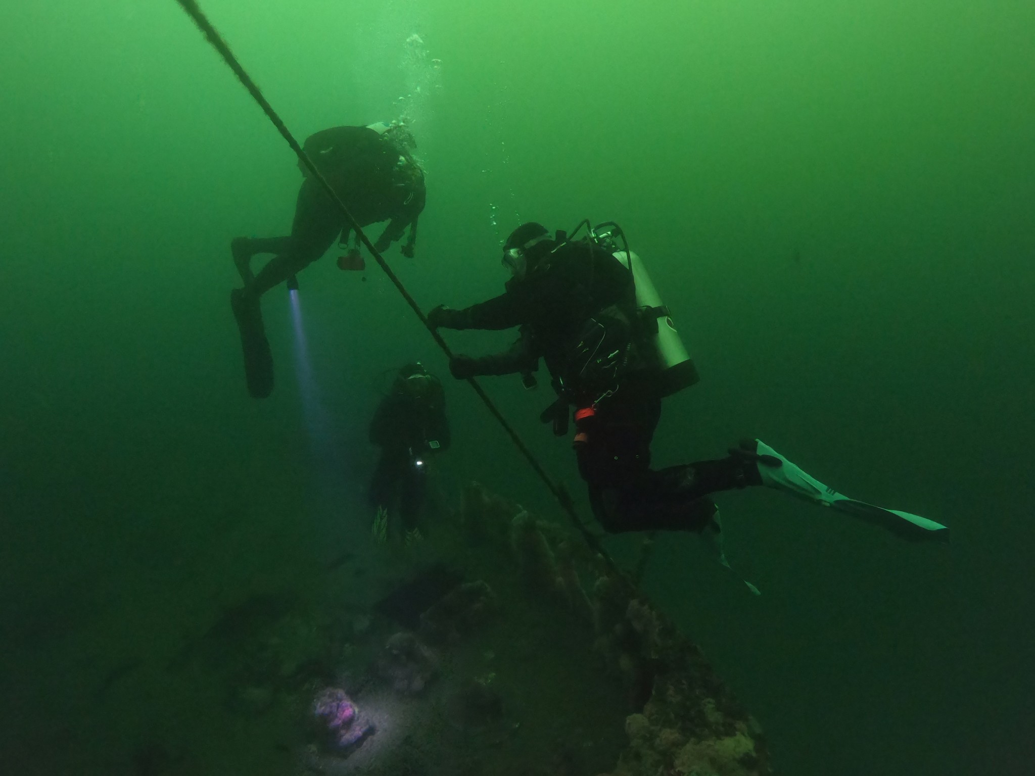 Diving the Kelp Forests of California