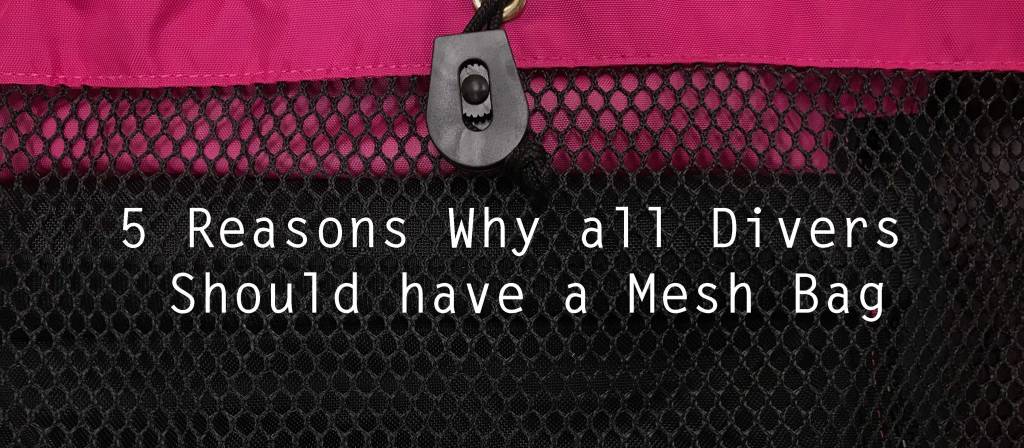 5 Reasons Why all Divers Should have a Mesh Bag