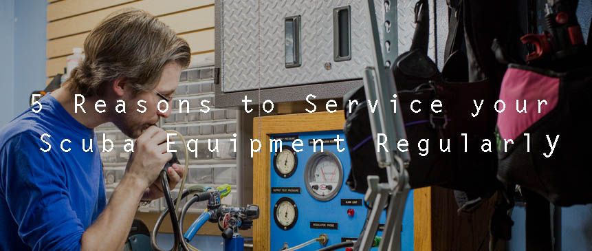 5 Reasons to get your Scuba Equipment Serviced Regularly