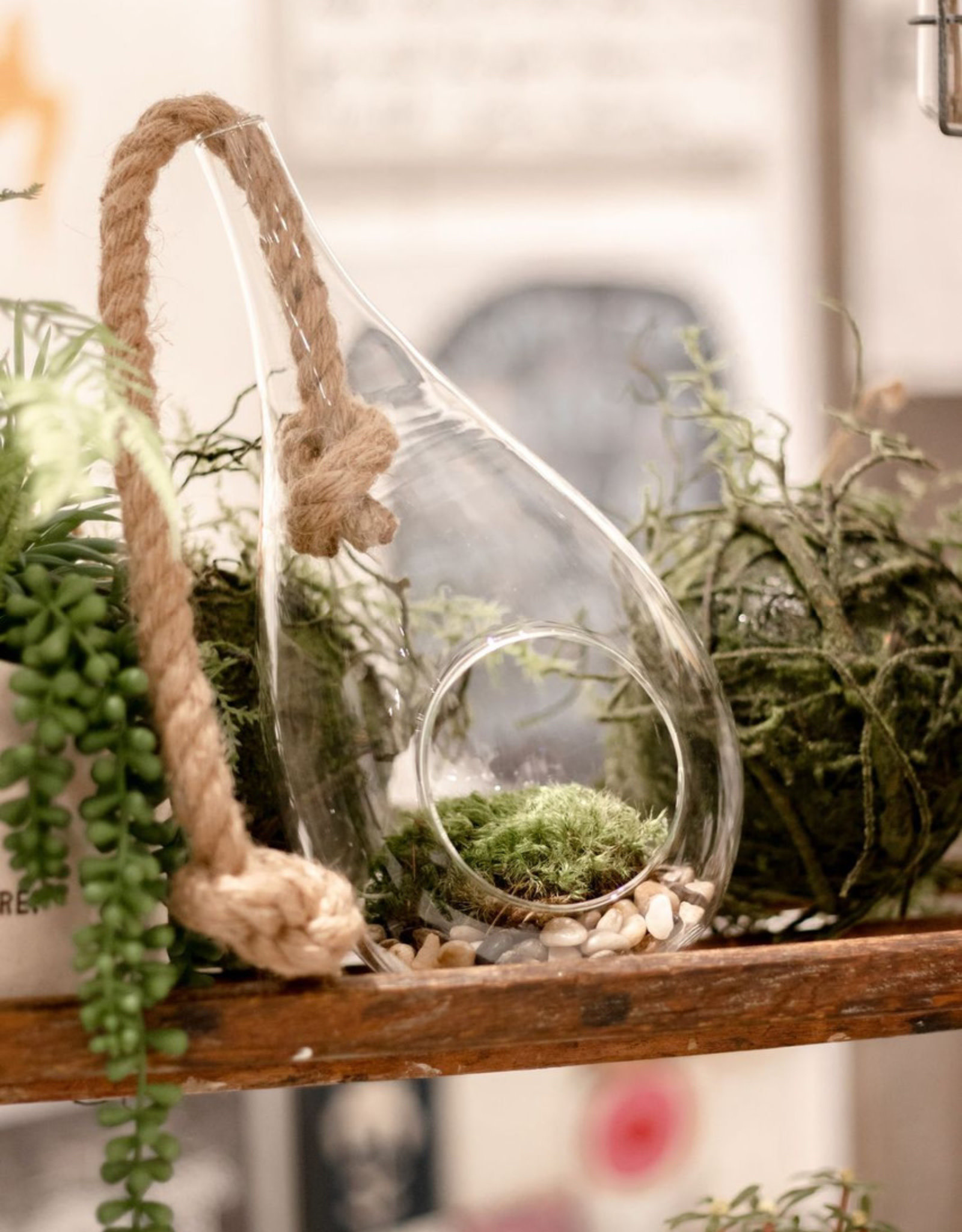 Ondergeschikt dutje vlam Sugarboo & Co. Teardrop Hanging Terrarium - Eleven the Shop