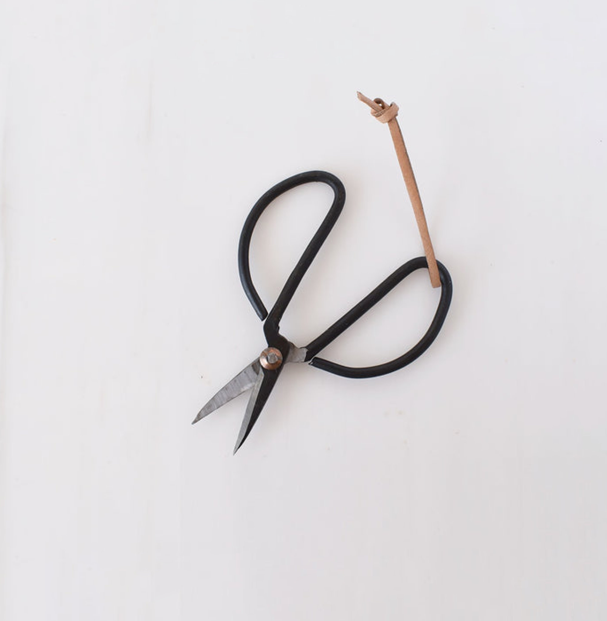 https://cdn.shoplightspeed.com/shops/612773/files/49176750/celina-mancurti-garden-scissors-small.jpg