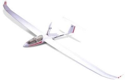 dg 1000 rc glider