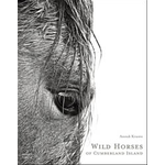 Wild Horses of Cumberland Island