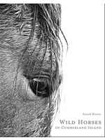 Website Wild Horses of Cumberland Island