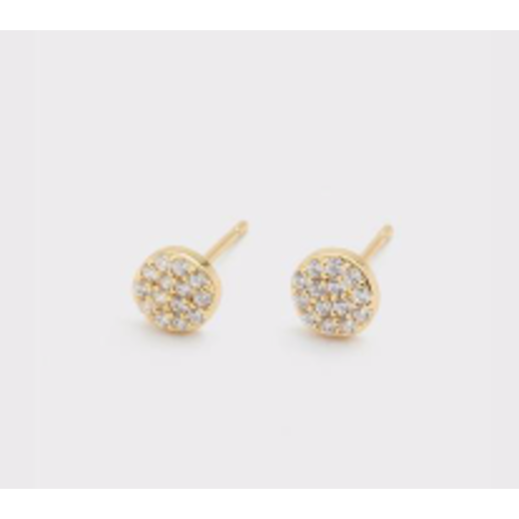 Website Pristine Charm Shimmer Studs - gold