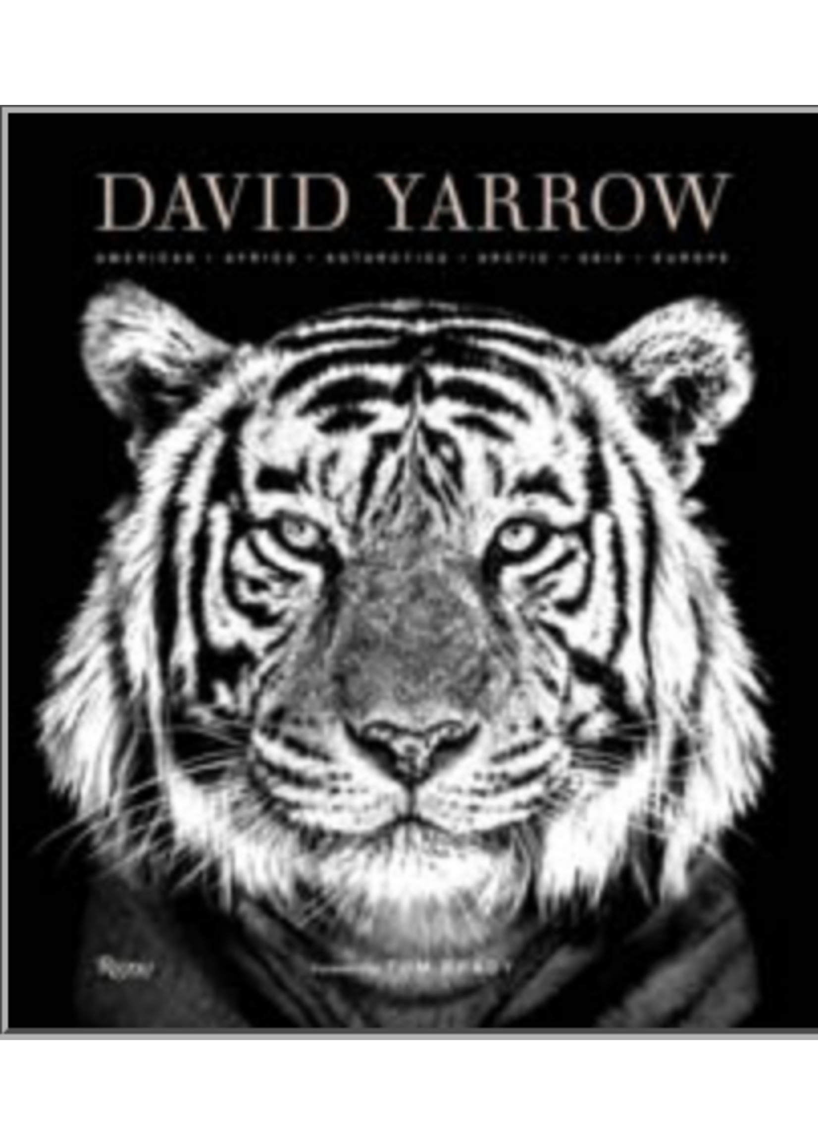 Website David Yarrow Photography