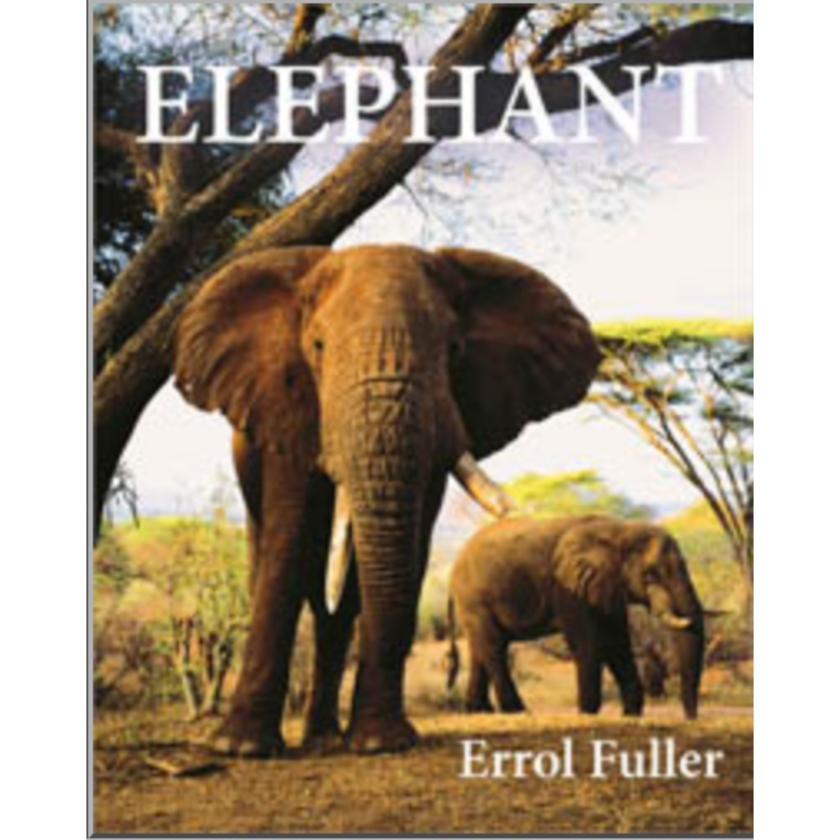Website Elephant