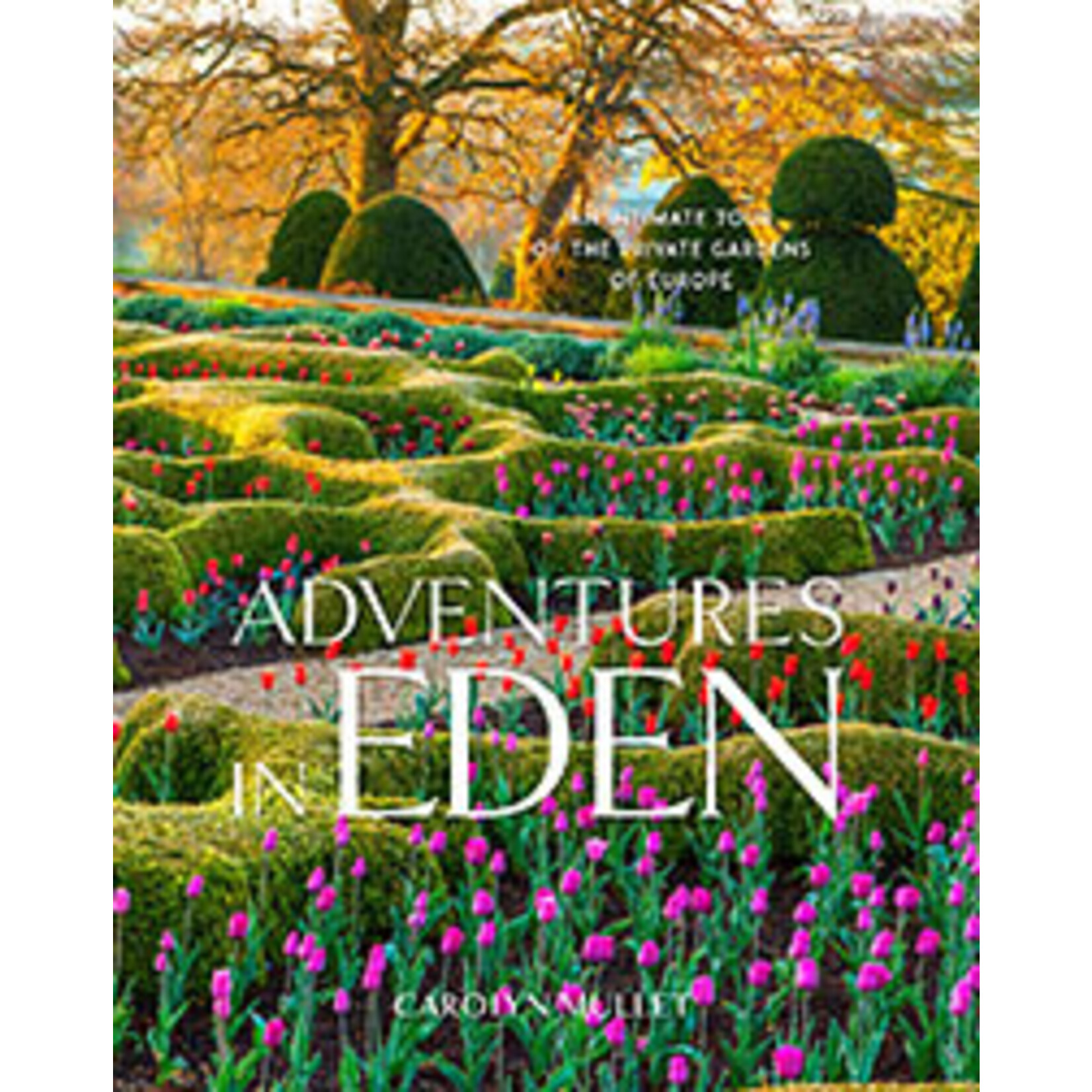 Website Adventures in Eden