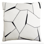 Website Diverging Ebony Pillow 20"