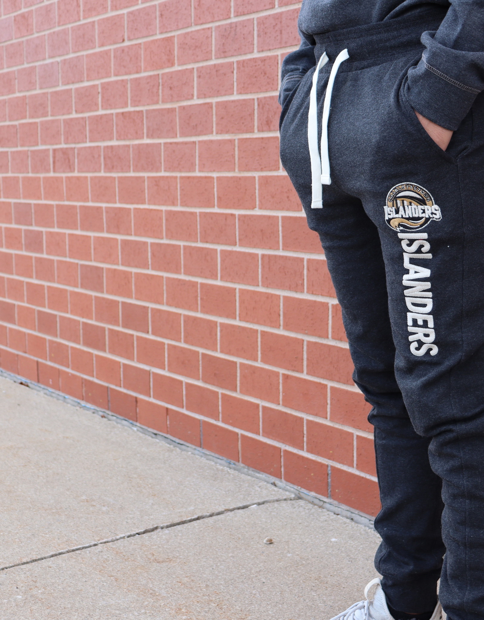 sweatpants and crew neck set