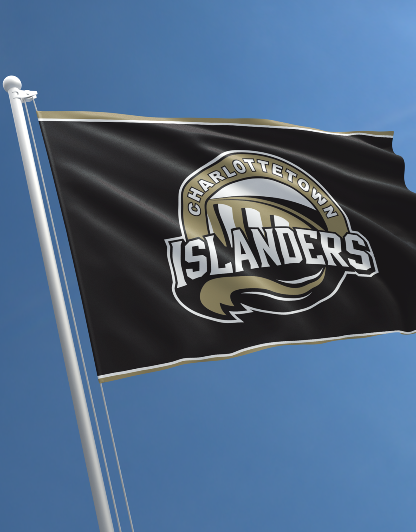 Islanders 3X5 Flag