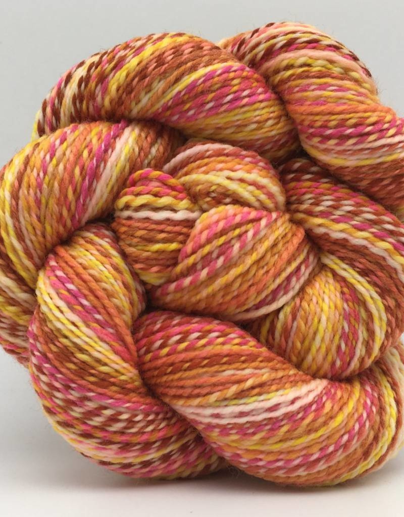 Spincycle Yarns Dyed in the Wool Sunset Strip