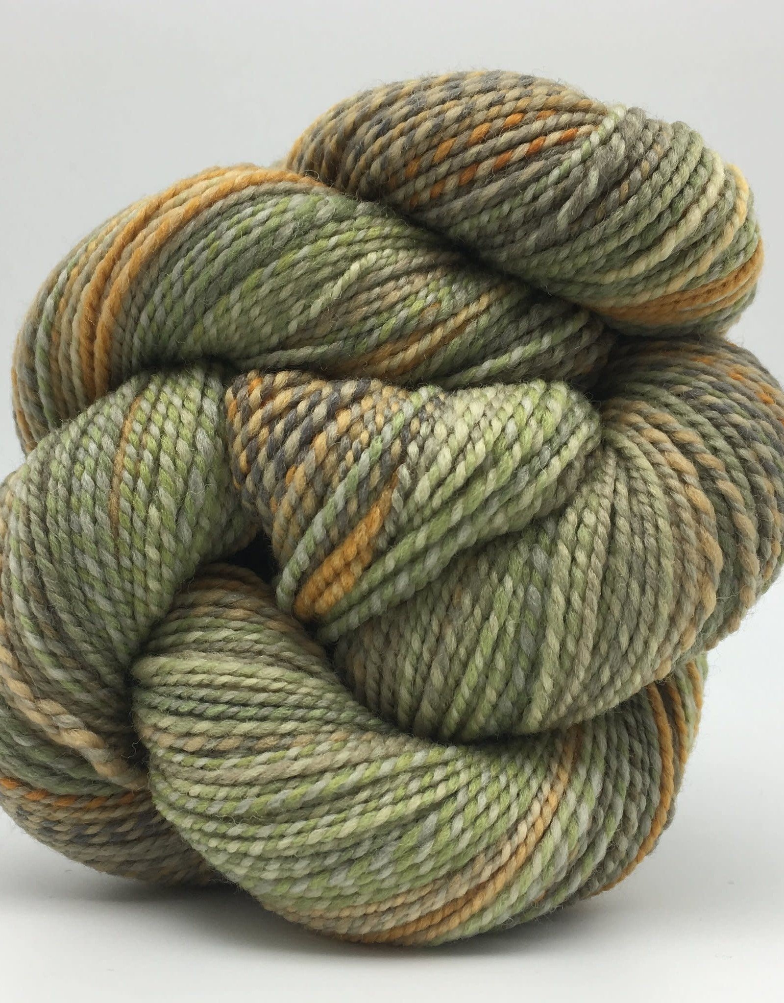 Spincycle Yarns Dyed In the Wool Grumpy Birds