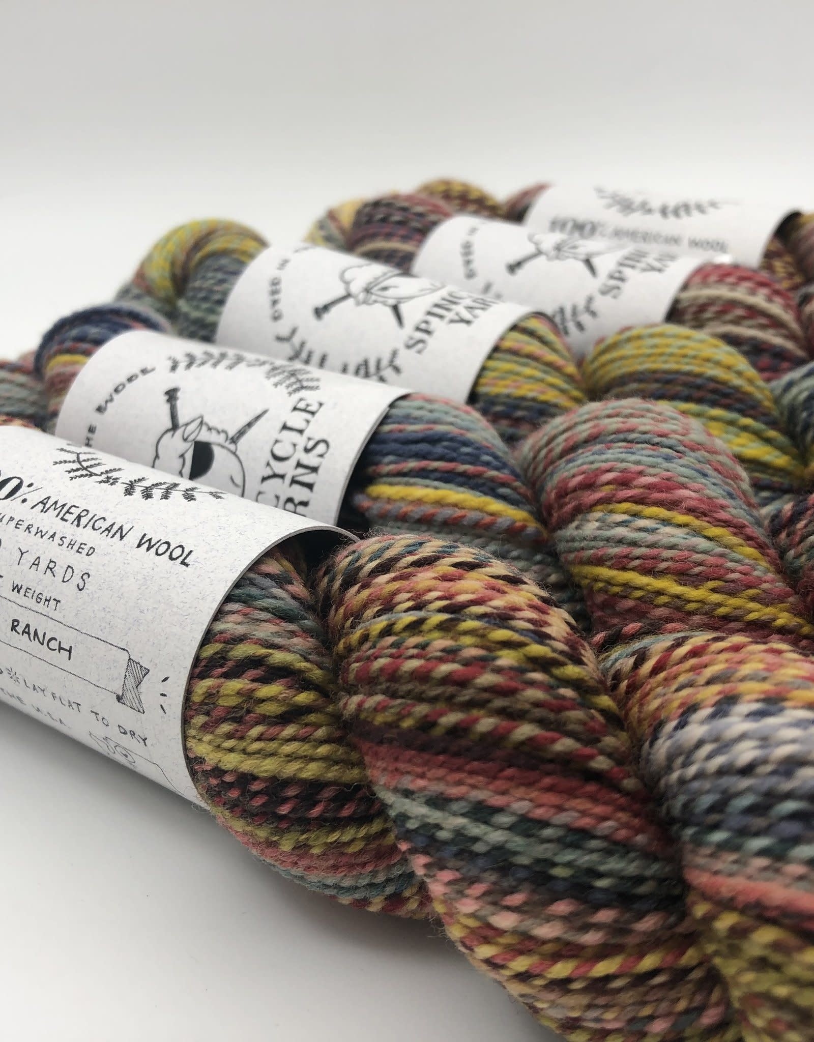 Spincycle Yarns Dyed in the Wool Ghost Ranch