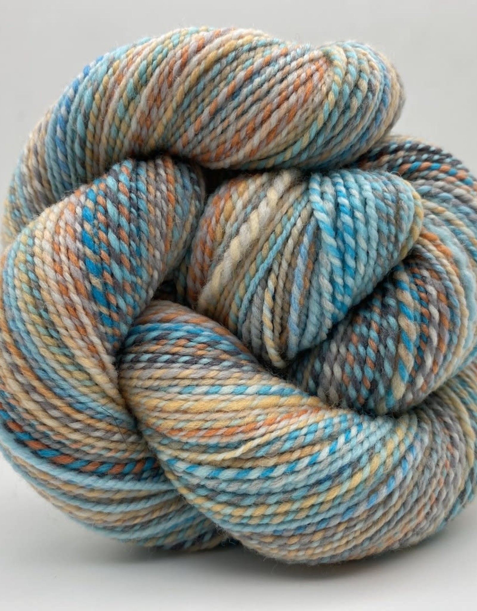 Spincycle Yarns Dyed in the Wool Castaway