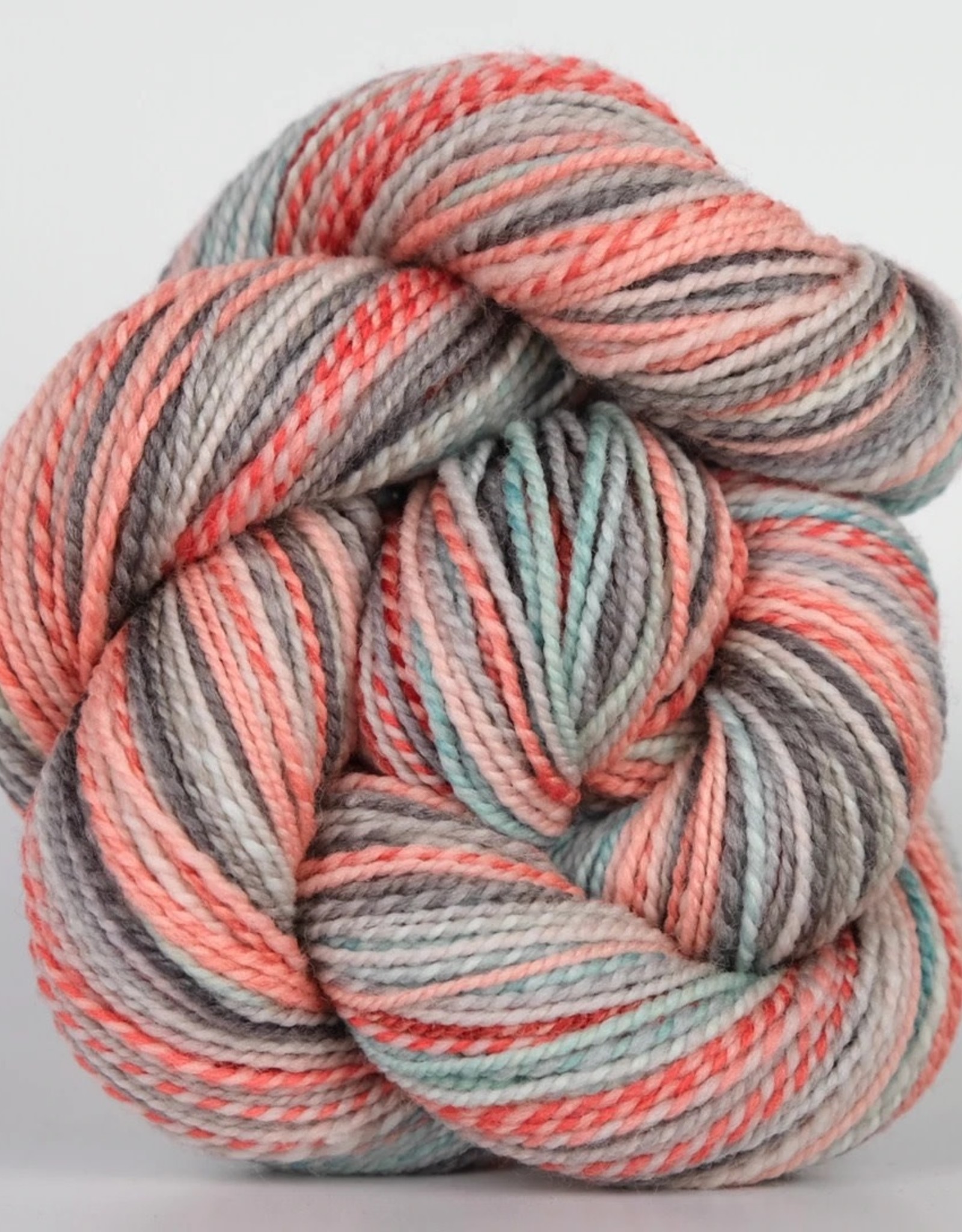Spincycle Yarns Dyed in the Wool Space Oddity