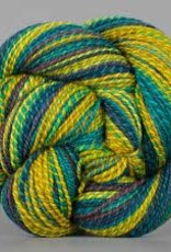 Spincycle Yarns Dyed in the Wool Afternoon Delight